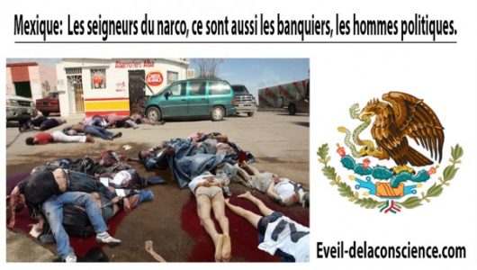 5_Mexique - Les seigneurs du narco, ce sont aussi les banquiers, les hommes politique