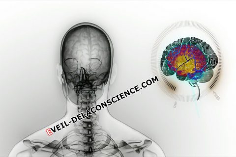 Créer un cerveau humain Numérique financé par l’Europe : «Human Brain Project.»