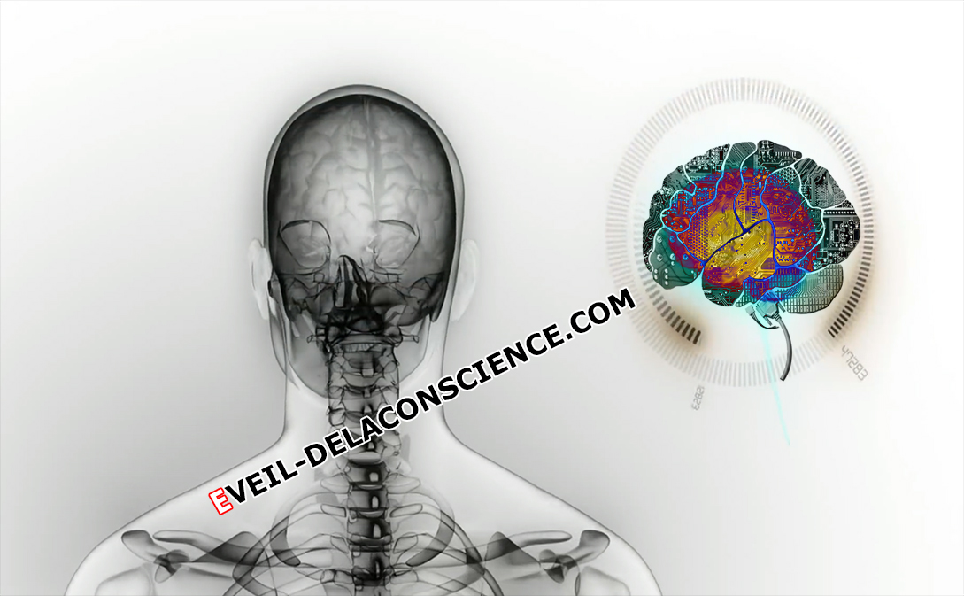 Créer un cerveau humain Numérique financé par l’Europe : «Human Brain Project.»