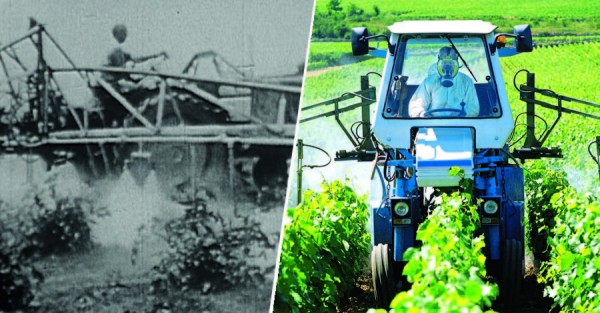Pesticides - rien n’a changé en 50 ans