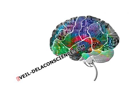 Quand l’Université de Stanford présente Neurogrid : Une Simulation d’un cerveau artificiel