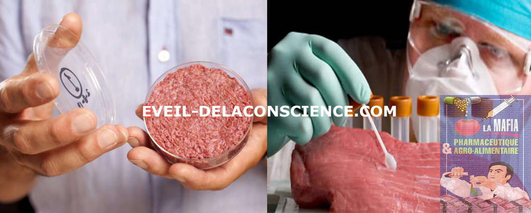 De la viande in vitro « artificielle » dans nos assiettes , une alternative sérieuse selon des chercheurs